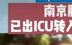 南京胖哥见义勇为是怎么回事？南京胖哥是做什么工作的?南京胖哥见义勇为事件详情始末回顾