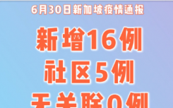 7月1日新加坡疫情最新数据公布  新加坡新增确诊16例其中本土5例